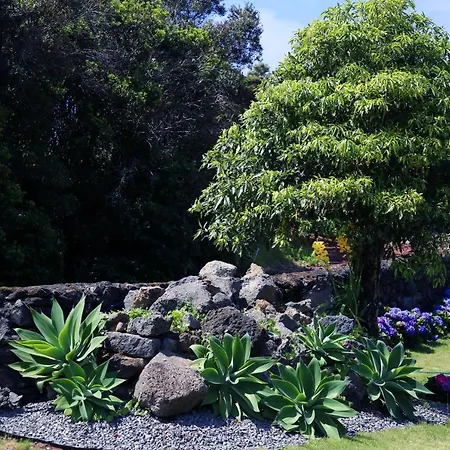 Capelinhos Willa Capelo